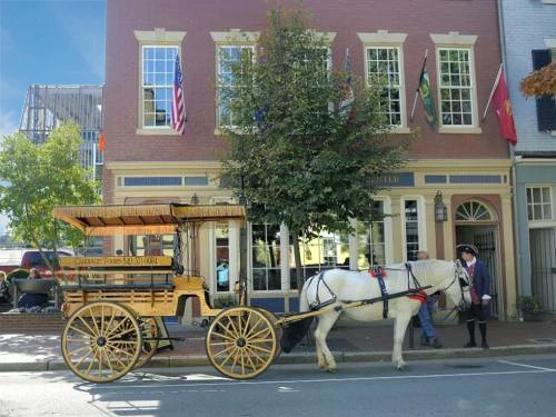 Horse-drawn carriage - visit Fredericksburg VA